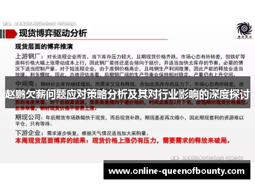赵鹏欠薪问题应对策略分析及其对行业影响的深度探讨