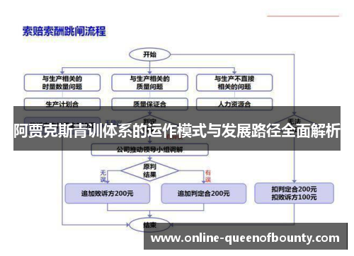 阿贾克斯青训体系的运作模式与发展路径全面解析
